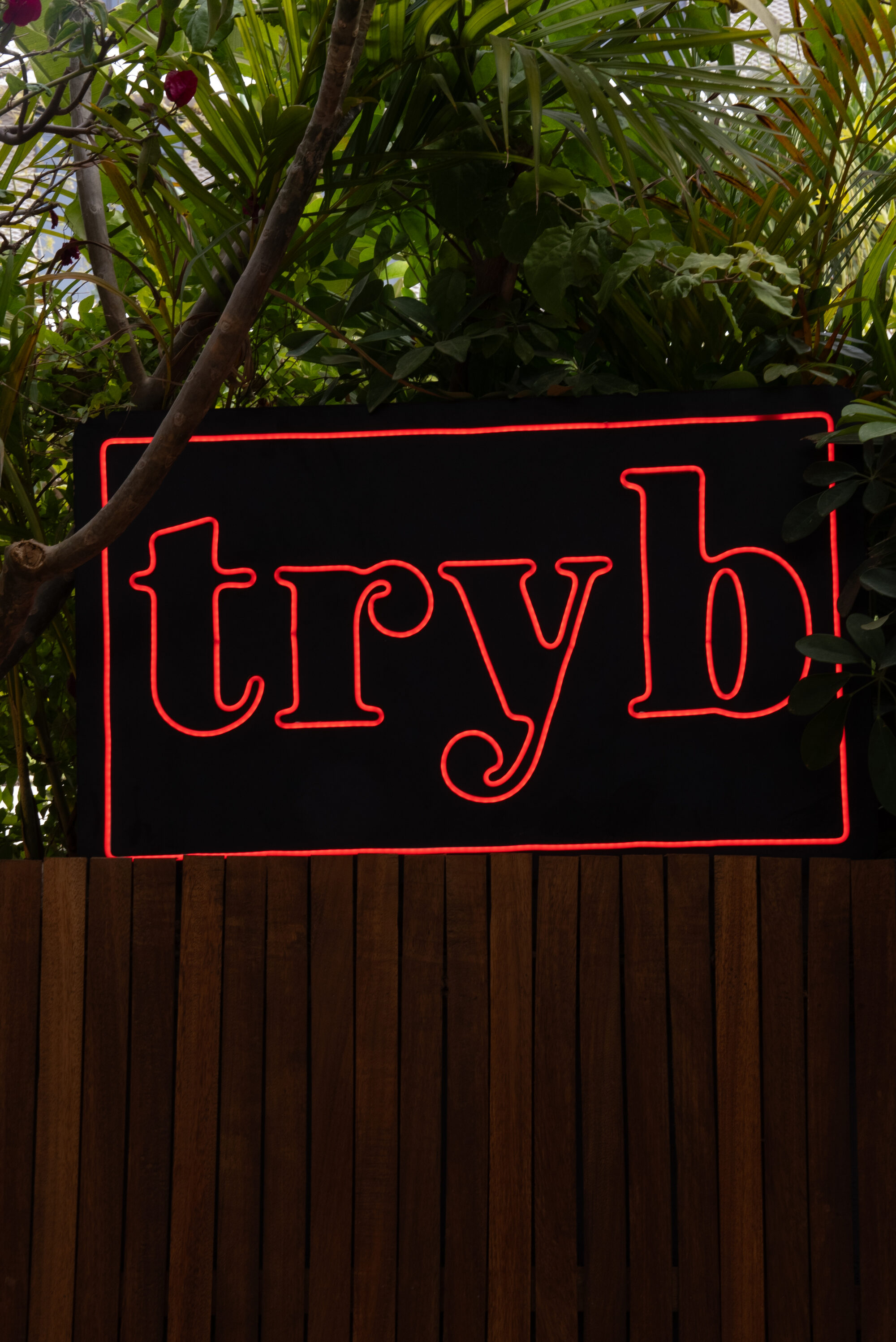TRYB: Kimotion x Mimi Milano
